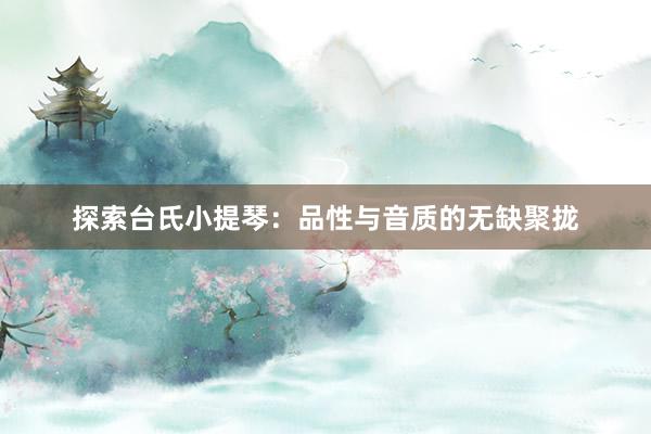 探索台氏小提琴：品性与音质的无缺聚拢